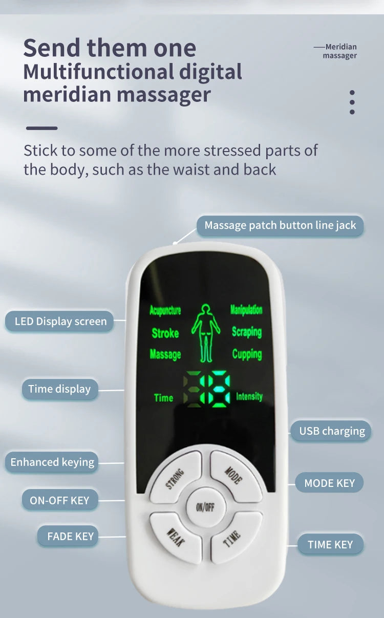 Electric Muscle Stimulator